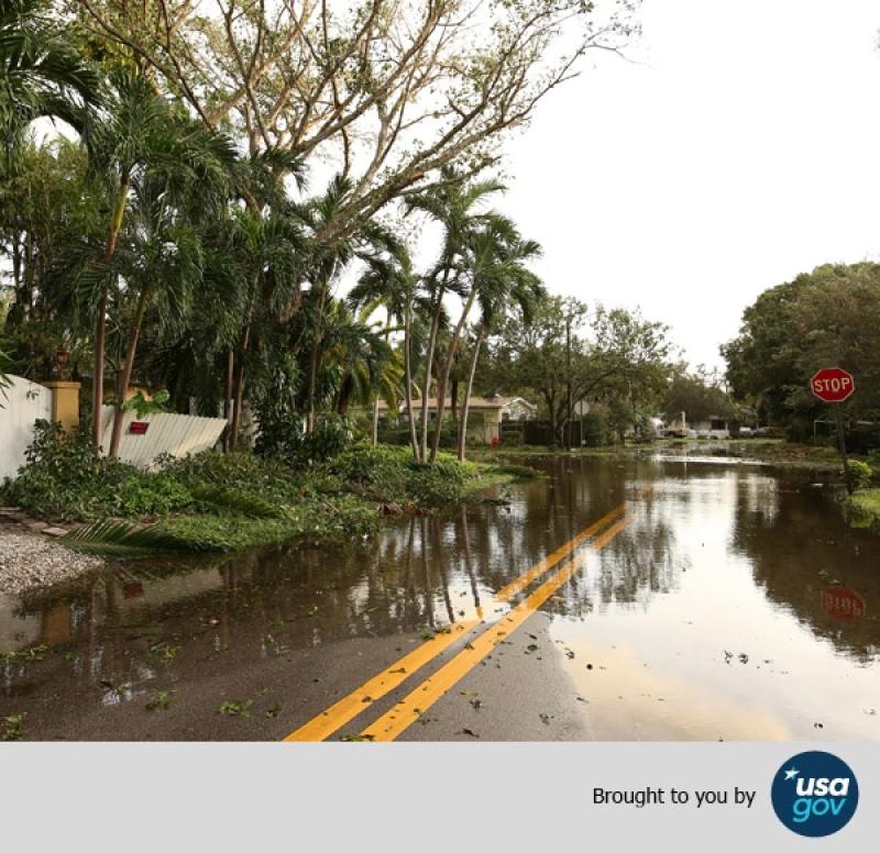 A flooded street lined with palm trees and houses, with a stop sign visible, reflecting the water. The image is credited to USA.gov.